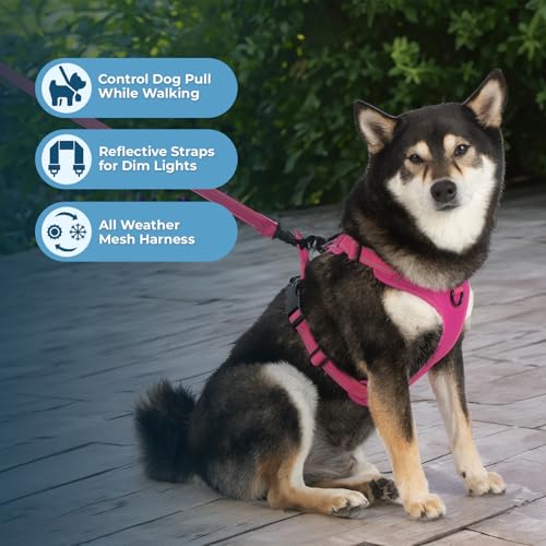 Image of Voyager Dual Attachment No Pull Harness - Fuchsia, X-Small | 13 - 16 inch in Chest, No Pull Dog Harness, Fully Adjustable, 3M Reflective Technology, Front & Back D-Rings, Walking & Training