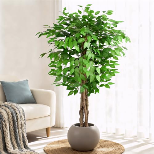 Image of 5ft Ficus Artificial Trees with Natural Curved Trunks, 60 inch Tall Lush Faux Tree for Home Decor Indoor, Green Lifelike Fake Ficus Tree Artificial Plants