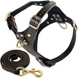 Beirui Genuine Leather Dog Harness and Leash Set for Small Dogs - No