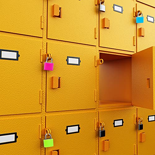 4 Pcs Suitcase Locks with Copper Keys Protect Your Belongings with Febwind's Set of 4 Mini Padlocks Multicolor Durable Locks for Suitcases Backpacks Boxes Cabinet and Laptop Bags4