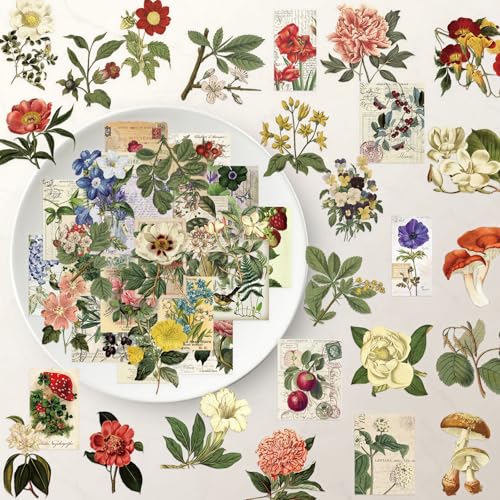 50Zbg ÓTA AW{ gԕ RCXg {^jJw XebJ[ h fJ[   lC m[gp\R p\R Xm{ XP[g{[h ו X[cP[X M^[  X}zP[X XP{[ J[ ] o