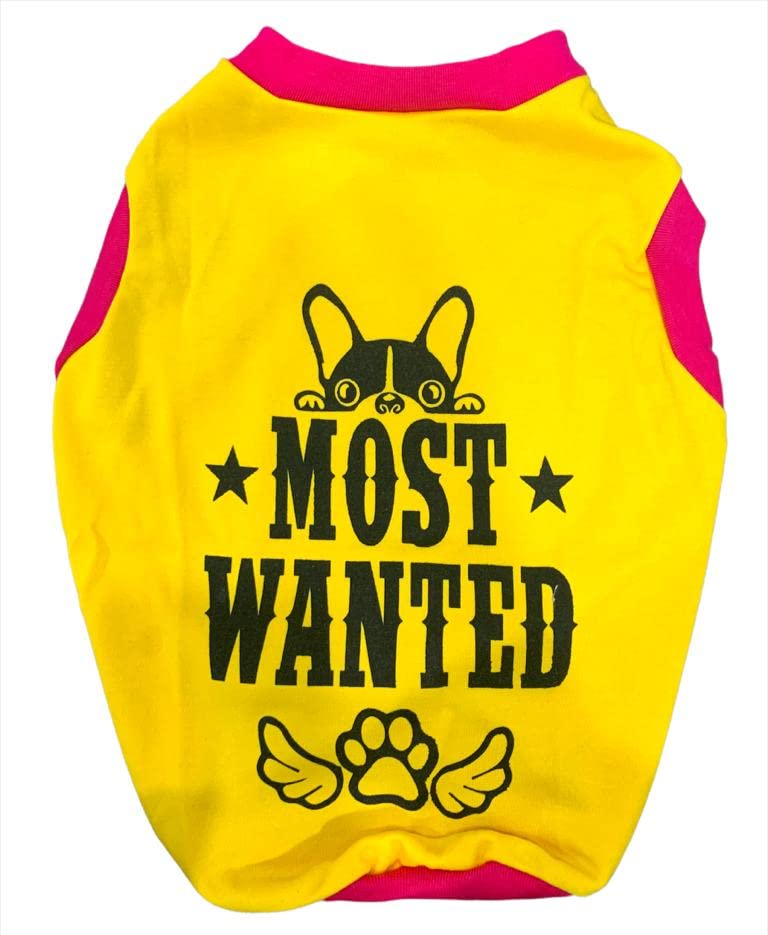 Summer Wear, Dog T-Shirt, Most Wanted, Yellow, 20", 200 g (B0B7RY4GL8) Amazon Price History, Amazon Price Tracker