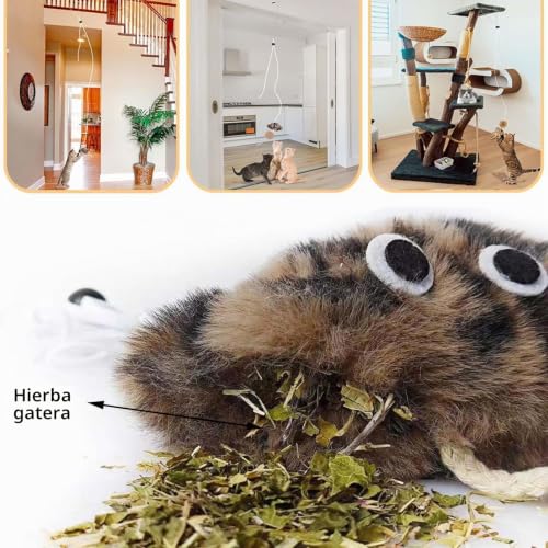 Juguetes para gatos interactivos con catnip y accesorios de ejercicio interior para mascotas 3