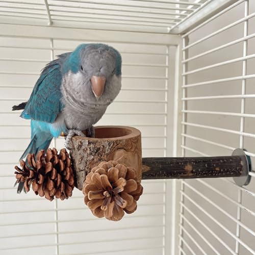 Perchoirs pour perruche accessoires cage jouet mangeoire animaux de compagnie - 4