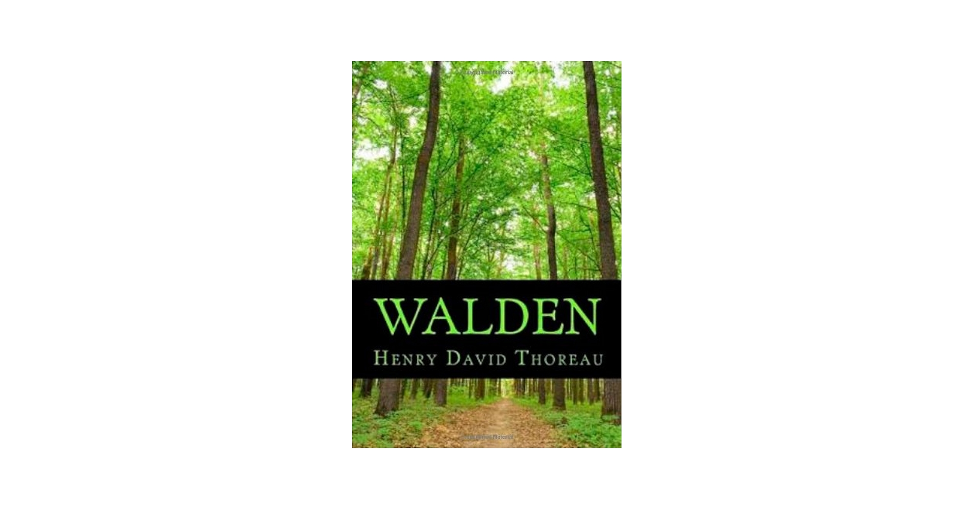 FENGさま専用 Walden Henry David Thoreau Walden: Thoreau, Henry David: 9783895082092: Amazon.com: Books