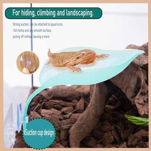 Image of Crested Gecko Tank Accessories,Crested Gecko Hide,Frog Habitat Platform,Gecko Wall Climbing Toy &Reptile Branches(3PCS) (Light Blue)