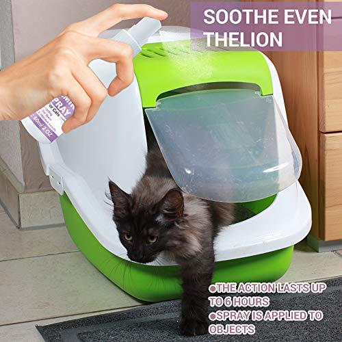 Spray Calmant pour Chat,Anti-Stress pour Chat,Spray Apaisant à Base de Plantes, Comfort Zone Spray and Scratch Control Calming Spray for Cats – Image 6