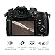 Panasonic Lumix GH5M | Expert Hybrid Kamera + Lumix 12-60mm Objektiv (4/3 20MP Sensor, Dual Stab, OLED Sucher, 4K60p/C4K24p 4:2:2 10bit, Tropicalised) Schwarz - Französische Version