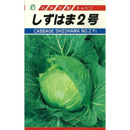 Amazon.co.jp: キャベツ 種 しずはま2号 小袋 (約200粒/1.5ml) : DIY
