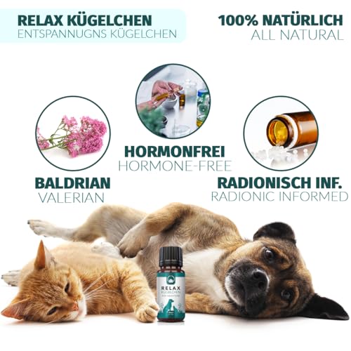 Saint Nutrition® Relax Kügelchen für Haustiere – Natürlicher Futterzusatz bei Stress & Unruhe – Unterstützt Entspannung bei Reisen, Silvester & im Alltag – Für kleine, mittlere & große Hunde - 10g