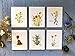 Seed Paper Greeting Card | Variety Pack | Wildflower Will Grow | 6 Handmade Cards With Envelopes | Variety
