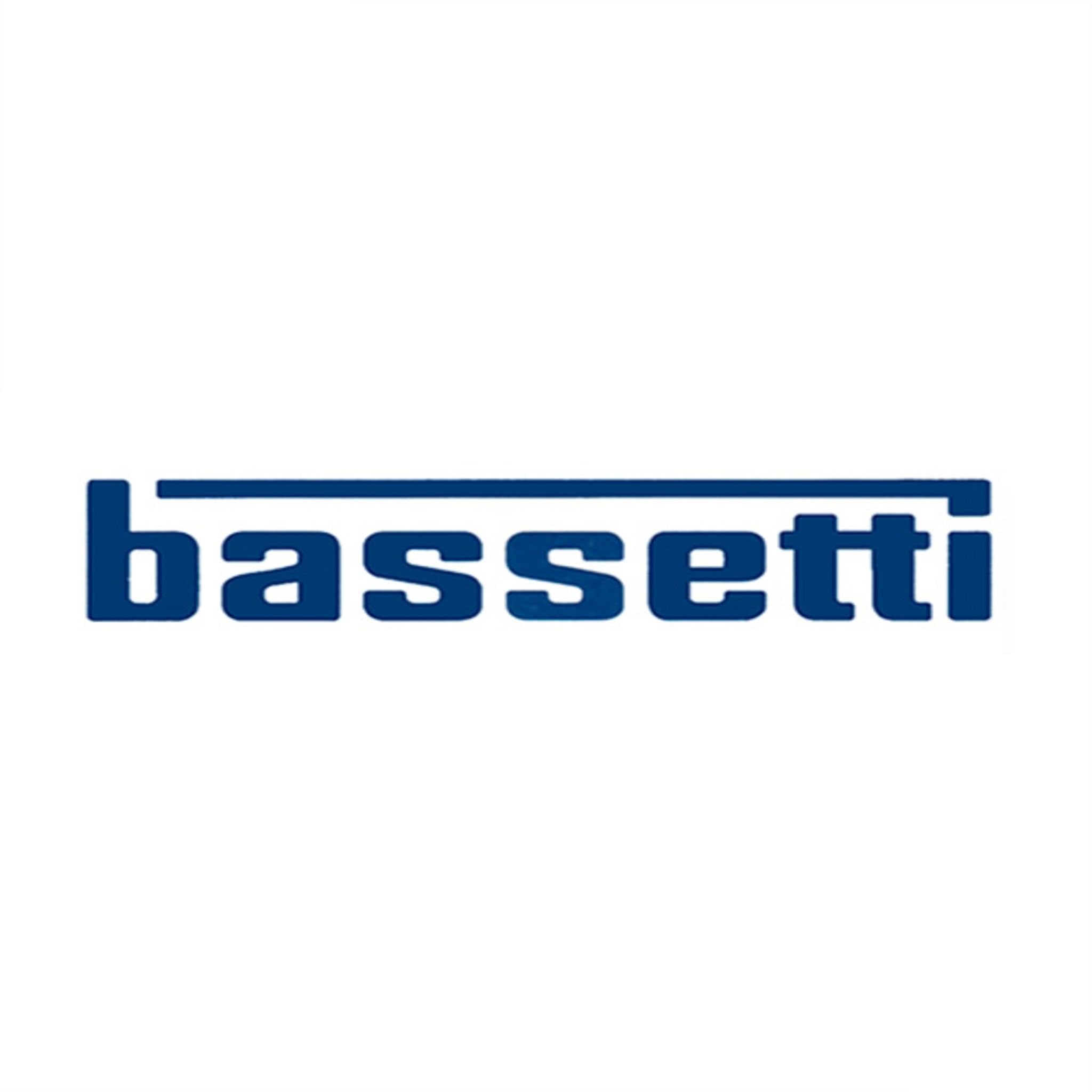 Bassetti Piumino Invernale in Microfibra anallergica da 320 grammi 3 Stelle (Matrimoniale 250x200cm)