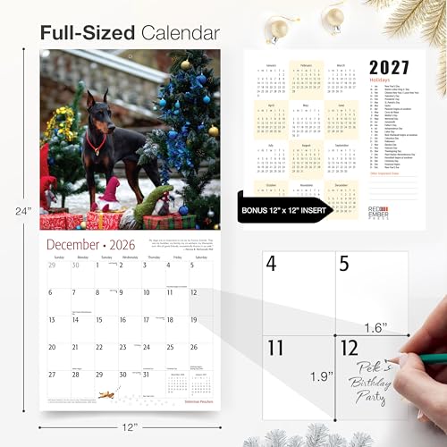 Image of RED EMBER Doberman Pinschers 2026 Wall Calendar 12 Month | 12 inch x 24 inch Open | Thick & Sturdy Paper | Giftable | Cute Puppy Dog Calendar 2026