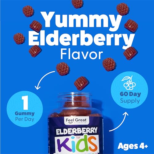 Image of Feel Great Kids Elderberry Gummies with Zinc and Vitamin C | Immune Support Sambucus Elderberry | Berry Flavored Vegan Kids Multivitamins | 60 Day Supply