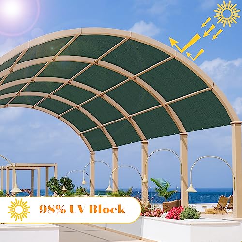 Awnpro 20' x 40' Sun Shade Sail Straight Edge Sun Shade Canopy with Grommets Sunlight Block Shade Cover for Outdoor Pergola Patio Backyard Garden (Green)