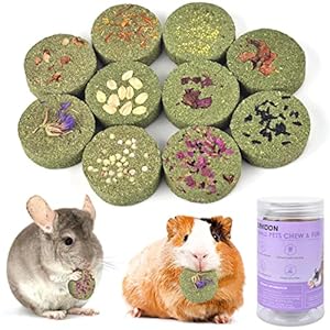 ERKOON 100 Edible Premium Timothy Hay Chew A Blocks for Rabbits Chinchilla Treats Chew Toys for Teeth Guinea Pigs and Mice