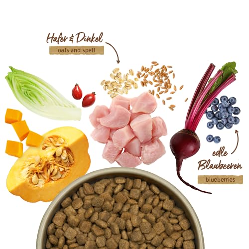 Bosch HPC MENUE Senior con pollo e farro e avena | cibo essiccato per cani anziani di tutte le razze | 1 x 12 kg