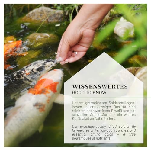 WILDLIFE HOME Soldatenfliegenlarven getrocknet 5L I Proteinreiches Insektenfutter für Reptilien, Fische, Schildkröten, Igel & Nager I Ganze Larven, hochwertiges Naturfutter
