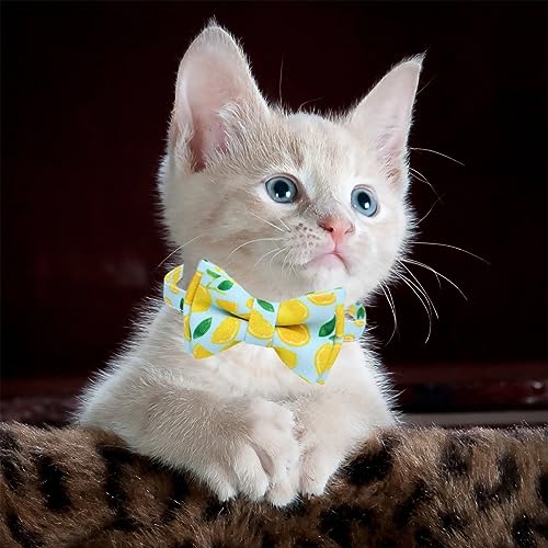 Collar cascabel para gatos bufanda triangular frutas Milisten pack 2 tela resistente 8