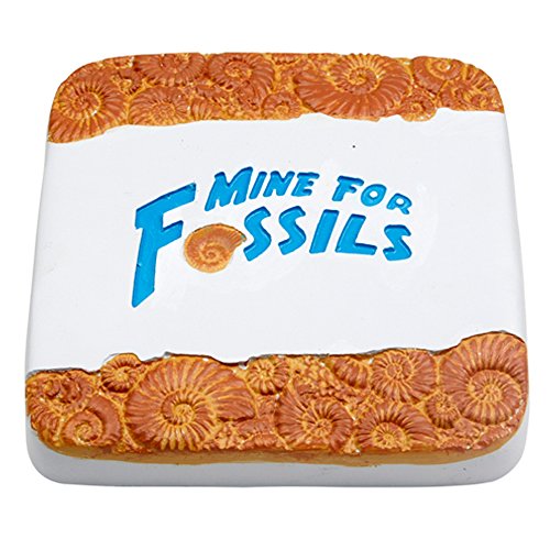 Mine for Real Fossils Science Dig Kit - Excavate 10 Genuine Prehistoric Fossils, Including Dinosaur, Shark Teeth, and More! Great STEM Learning Activity for Kids, for Girls and Boys - Thumbnail 4