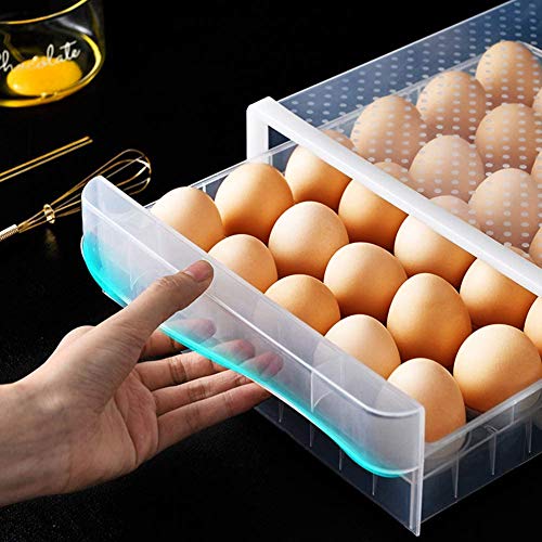 Newforce 30 Grid Single Layer Egg Holder For Refrigerator, Bpa Free Egg Storage Container For Fridge, Household Egg Organizer Storage Box For Kitchen & Farm,Clear #TOP5