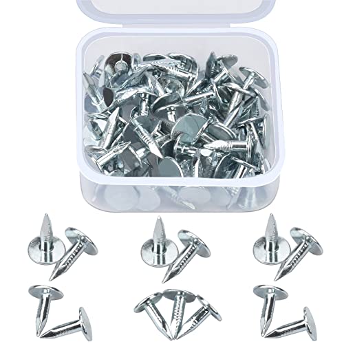 Noosverl Clous Galvanisés pour Toiture(Lot de 100 pièce), Clous de Toiture en Feutre en Bois 12mm, Clou pour toiture bitumée, Clous pour fixer sur le toit