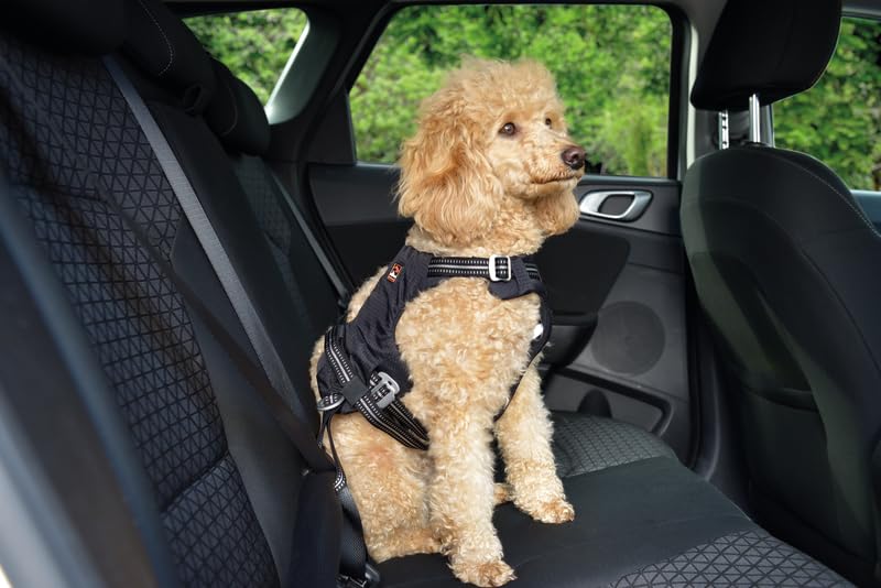 Dogs Creek Auto-Sicherheitsgeschirr Renegade XS