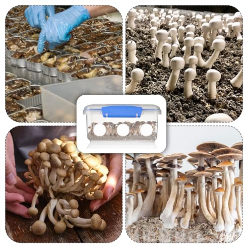 Image of 24pcs 2.5 inch Monotub Adhesive Filter Disks, 0.12in Thick Breathable Mushroom Monotub Filter Pads Practical Mushroom Supplies Filtration Patches Replacement Accessories