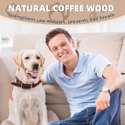 3 Stück Kaffeeholz für Hunde, Kaustab Kauholz, Kaffeeholz Kauholz, Natürliches Kauholzs, Natürlicher Kaffeehol, Holzknochen als Hundespielzeug für Welpen, Sicherer Kauspaß für kleine und große Hunde