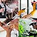 Red by Kiss Spray Bottle, Refillable Container, Continuous Spray for Hair Styling, Watering Plants, Home Cleaning, Adjustable Nozzle (Mist & Sream Mode), Spay Bottle with Measurements (8oz)