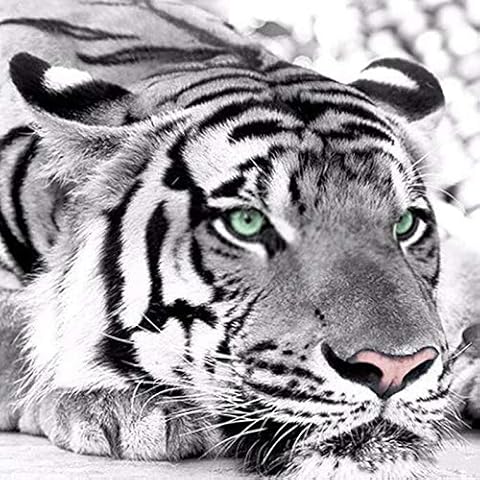 5D DIY Diamond Painting Kits Full Round Drill Diamond Painting Wall Decor Rhinestone Embroidery Dragonflies and White Tigers 11.8x15.7 in by UM UPMALL Cover