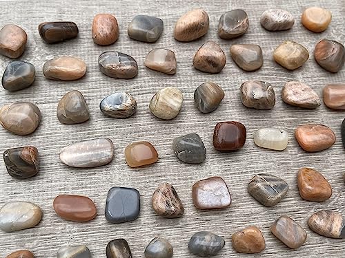 Image of 1 /2 LB Moonstone Multi Tumbled Stones, Polished Natural Moonstone Multi Gemstone, Moonstone Multi Healing Crystals (Moonstone Multi)