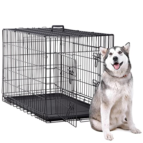 Best Dog Cage For Pitbull A Comprehensive Guide