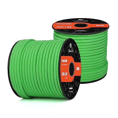 Abma Cord Paracord 620 lbs 4mm 9 Strands 100% Nylon 30M - Green, Solid-green, 30 Meters