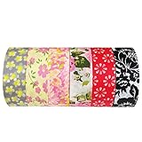Wrapables VPK9 Premium Value Pack Japanese Washi Masking Tape Collection, Set of 6