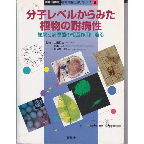 分子レベルからみた植物の耐病性―植物と病原菌の相互作用に迫る (植物細胞工学シリーズ)