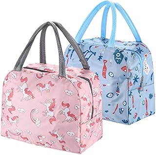 PanBeiQi 2 Pcs 6 L Insulated Lunch Bags, Thermal Picnic Bags, Foldable Cool Bags, Portable Lunch Box Bag Holder Cooler Bag for Men/Girls/Children/Foods/Drinks/Picnic/Beach/School/Office Work