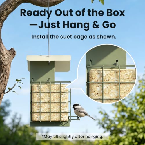 Image of Birdfy Smart Bird Feeder with Camera, Solar Powered, Gift for Bird Lovers