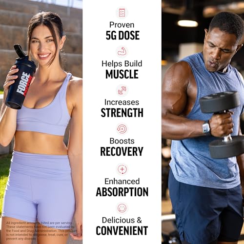 Image of Force Factor Creatine Monohydrate Gummies, 5g Dose for Men & Women to Support Muscle, Strength, Recovery, Cognitive Health & Memory, Orange Splash Flavor, 150 Gummies