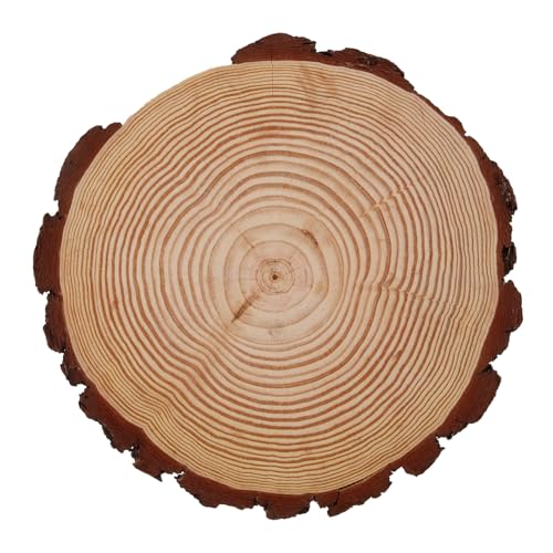 Dalles de Jardin pour Allée Extérieure Aspect Bois Premium Résistant 30,5CM