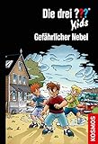  Die drei ??? Kids, 80,Gefährlicher Nebel (drei Fragezeichen Kids)