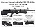 Wearable4U - Hatsan HGHercBull-30 Hercules Bully .30 Caliber Air Rifle with Included 100x 46.3 Grain Pellets Bundle (Black)