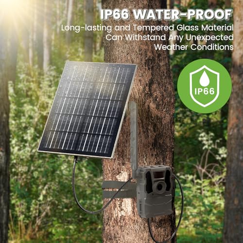 Solarpanel Eingebauter 20000mAh Akku kompatibel mit 12V/6V Wildlifekamera&Überwachungskameras mit 3M Verbindungskabel Wasserdichtes Solarladegerät Jagdkamera Jagdzubehör