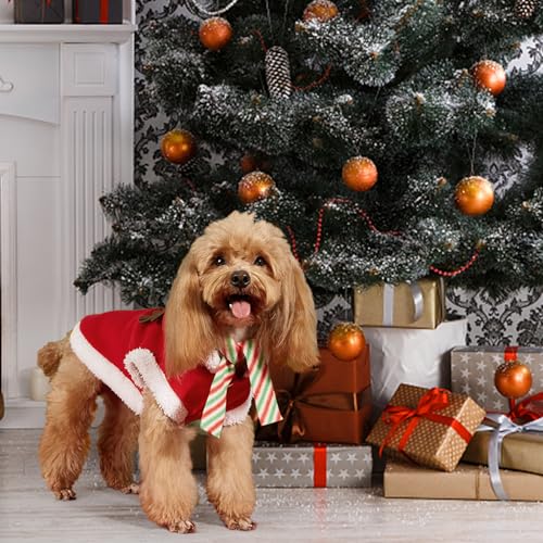 Disfraz navideño para perro tamaño grande miniatura 3
