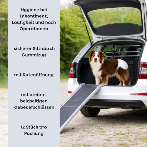 TRIXIE Hundewindeln für Hündinnen Gr. M–L, 12 St., 36–52 cm Taillenumfang