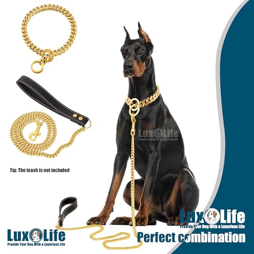 Collier pour chien résistant à l'usure chaîne dorée incassable pour la promenade - 7