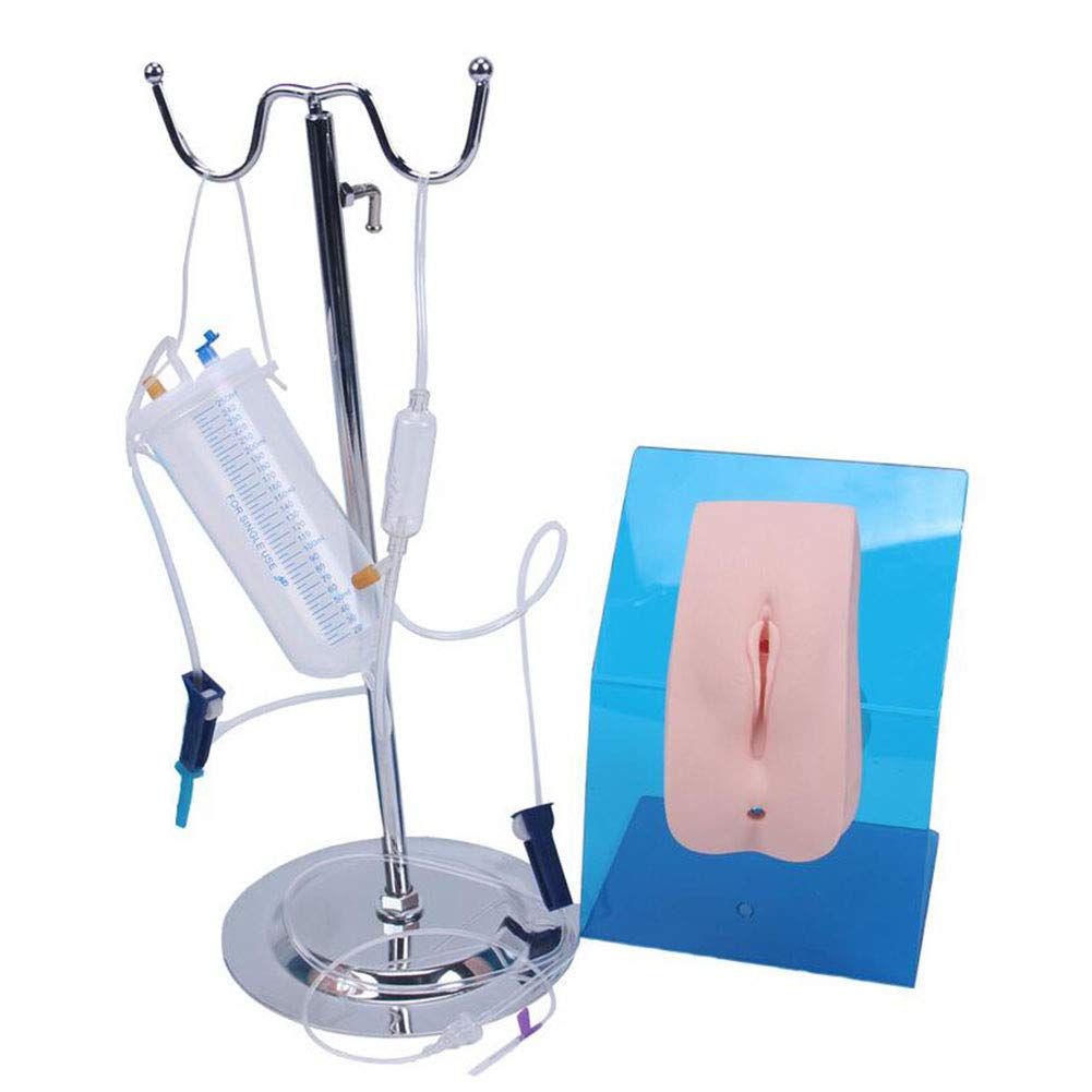 Buy HUIO Male female catheterization simulator model Genital wearable