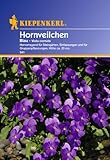 hornveilchen samen Viola x cornuta Sperli Blumensamen Hornveilchen, blau/grün