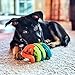JW Pet Dogs In Action Dog Toy, Small (Assorted Colors)