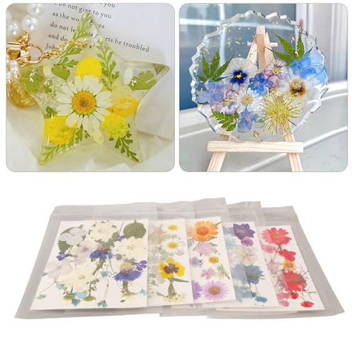 Kit de flores prensadas variedad para manualidades miniatura 5